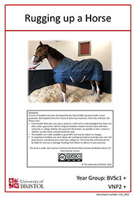 Rugging up a Horse booklet cover